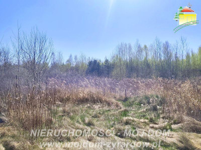 Działka budowlana z ważnymi warunkami zabudowy Antoniew - Antoniew  -
Mazowieckie Zdjęcie nr 7
