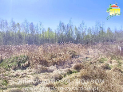 Działka budowlana z ważnymi warunkami zabudowy Antoniew - Antoniew  -
Mazowieckie Zdjęcie nr 8