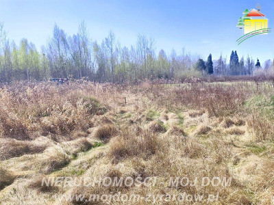 Działka budowlana z ważnymi warunkami zabudowy Antoniew - Antoniew  -
Mazowieckie Zdjęcie nr 9