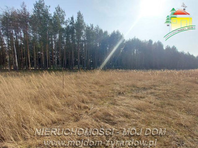 Śliczna działka budowlana w Walerianach - Waleriany  -
Mazowieckie Zdjęcie nr 3