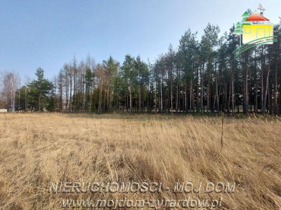 Śliczna działka budowlana w Walerianach - Waleriany  -
Mazowieckie Zdjęcie nr 4