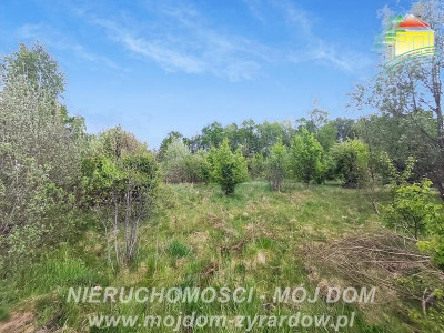 Ładna działka blisko Radziejowic - Adamów-Parcel  -
Mazowieckie Zdjęcie nr 3