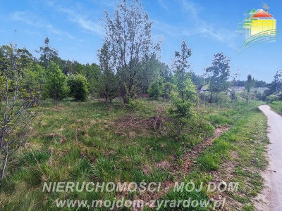 Ładna działka blisko Radziejowic - Adamów-Parcel  -
Mazowieckie Zdjęcie nr 4