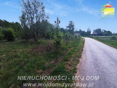 Ładna działka blisko Radziejowic - Adamów-Parcel  -
Mazowieckie Zdjęcie nr 5
