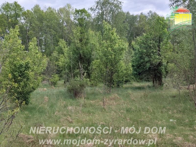 Ładna działka blisko Radziejowic - Adamów-Parcel  -
Mazowieckie Zdjęcie nr 6