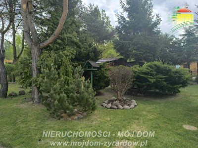 Polecamy ładnie zagospodarowaną działkę ROD w Korytowie - Korytów  -
Mazowieckie Zdjęcie nr 12