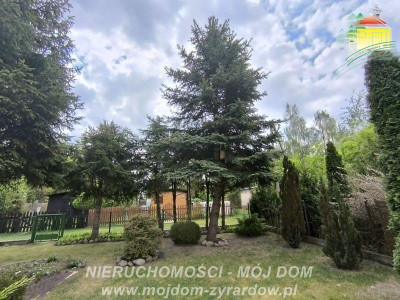 Polecamy ładnie zagospodarowaną działkę ROD w Korytowie - Korytów  -
Mazowieckie Zdjęcie nr 2