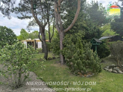 Polecamy ładnie zagospodarowaną działkę ROD w Korytowie - Korytów  -
Mazowieckie Zdjęcie nr 4