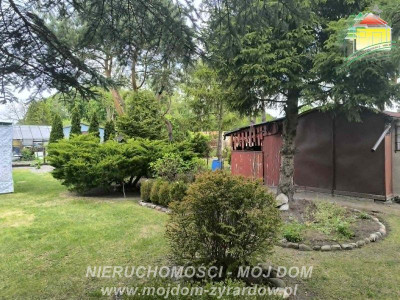 Polecamy ładnie zagospodarowaną działkę ROD w Korytowie - Korytów  -
Mazowieckie Zdjęcie nr 6
