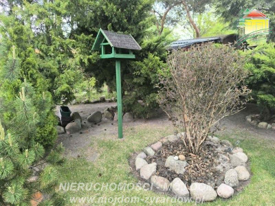 Polecamy ładnie zagospodarowaną działkę ROD w Korytowie - Korytów  -
Mazowieckie Zdjęcie nr 7