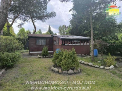 Polecamy ładnie zagospodarowaną działkę ROD w Korytowie - Korytów  -
Mazowieckie Zdjęcie nr 8