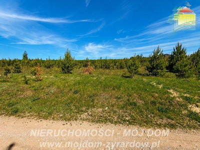 Działka budowlana Krzyzówka - Krzyżówka  -
Mazowieckie Zdjęcie nr 5