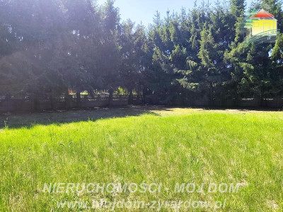 Piękna ogrodzona działka w cichej okolicy - Henryszew  -
Mazowieckie Zdjęcie nr 7