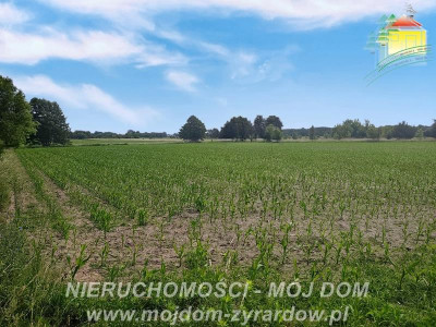 Ładna działka budowlana niedaleko centrum Wiskitek - Wiskitki  -
Mazowieckie Zdjęcie nr 3