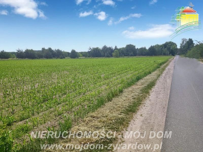 Ładna działka budowlana niedaleko centrum Wiskitek - Wiskitki  -
Mazowieckie Zdjęcie nr 5