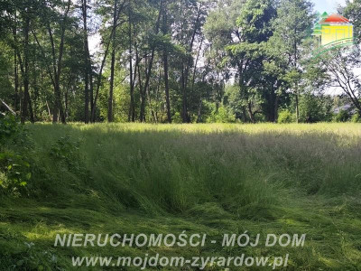 Duża działka budowlana w otulinie lasu - Adamów-Wieś  - Mazowieckie
