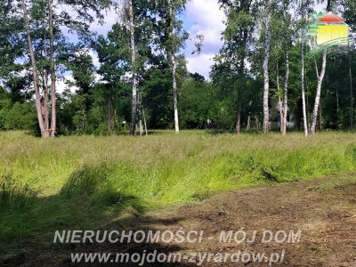 Duża działka budowlana w otulinie lasu - Adamów-Wieś  -
Mazowieckie Zdjęcie nr 2