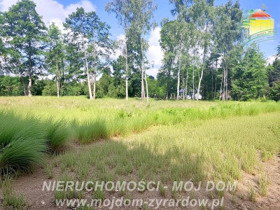 Działka budowlana niedaleko Radziejowic - Adamów-Wieś  - Mazowieckie
