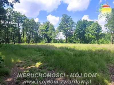 Działka budowlana niedaleko Radziejowic - Adamów-Wieś  -
Mazowieckie Zdjęcie nr 2