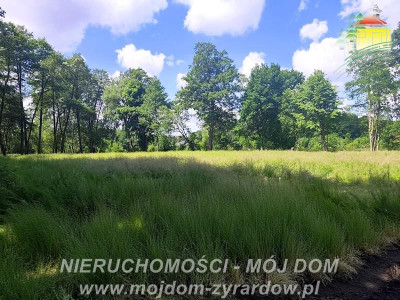 Działka budowlana niedaleko Radziejowic - Adamów-Wieś  -
Mazowieckie Zdjęcie nr 3