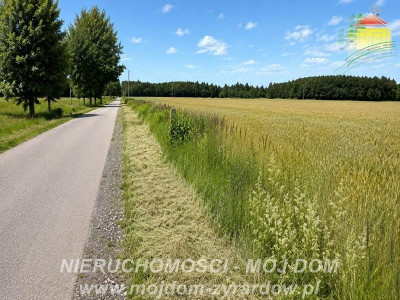 Dwie działki rolne w Studzieńcu - Studzieniec  - Mazowieckie