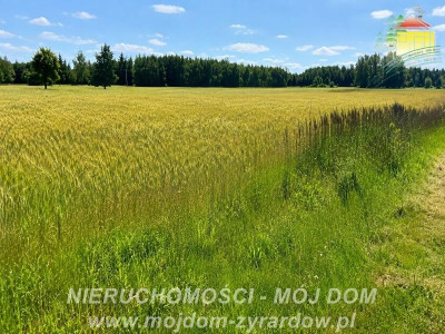 Dwie działki rolne w Studzieńcu - Studzieniec  -
Mazowieckie Zdjęcie nr 2