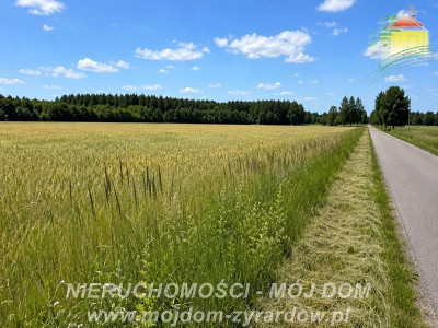 Dwie działki rolne w Studzieńcu - Studzieniec  -
Mazowieckie Zdjęcie nr 3