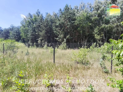 Piękna działka budowlana w leśnej okolicy blisko Puszczy Mariańskiej - Budy Zaklasztorne  -
Mazowieckie Zdjęcie nr 5