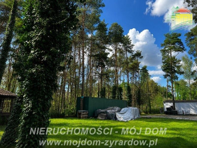 Działka z warunkami zabudowy w Międzyborowie - Międzyborów  -
Mazowieckie Zdjęcie nr 3