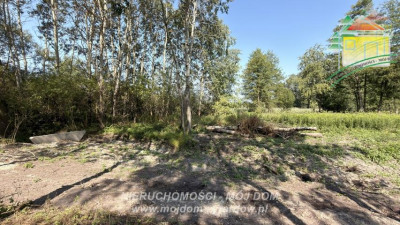 Działka w miejscowości Kazimierów gm Sochaczew - Kaźmierów  -
Mazowieckie Zdjęcie nr 6
