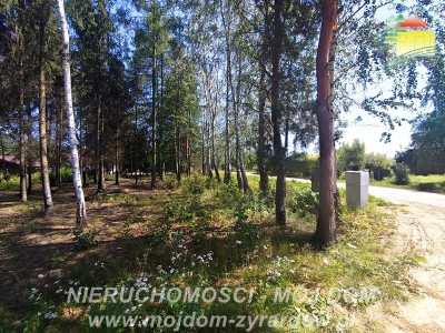 Działka budowlana - Kuranów  -
Mazowieckie Zdjęcie nr 3
