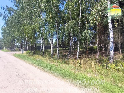 Działka budowlana - Kuranów  -
Mazowieckie Zdjęcie nr 8