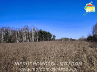 Ładna duża działa Długokąty - Długokąty  -
Mazowieckie Zdjęcie nr 5