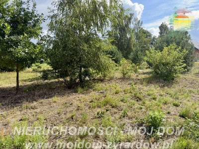Duża działka okolice Puszczy Mariańskiej - Biernik  -
Mazowieckie Zdjęcie nr 2