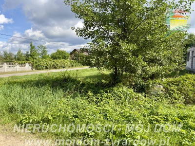 Duża działka okolice Puszczy Mariańskiej - Biernik  -
Mazowieckie Zdjęcie nr 3