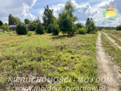 Duża działka okolice Puszczy Mariańskiej - Biernik  -
Mazowieckie Zdjęcie nr 4