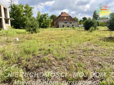 Duża działka okolice Puszczy Mariańskiej - Biernik  -
Mazowieckie Zdjęcie nr 7