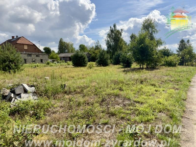Duża działka okolice Puszczy Mariańskiej - Biernik  -
Mazowieckie Zdjęcie nr 8