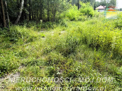 Działka budowlana - Zazdrość  -
Mazowieckie Zdjęcie nr 4