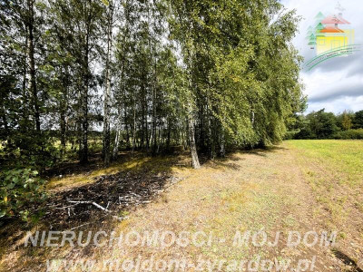 Działka rolno-leśna w Petrykozach  16 975 m2 - Petrykozy  -
Mazowieckie Zdjęcie nr 11