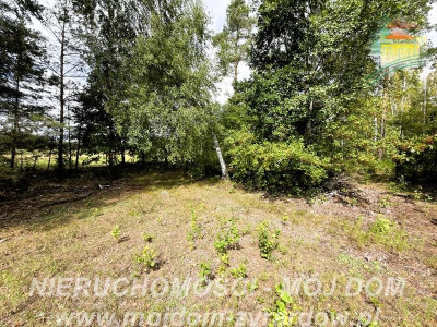 Działka rolno-leśna w Petrykozach  16 975 m2 - Petrykozy  -
Mazowieckie Zdjęcie nr 12