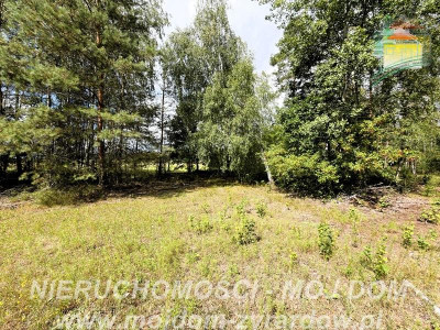 Działka rolno-leśna w Petrykozach  16 975 m2 - Petrykozy  -
Mazowieckie Zdjęcie nr 13