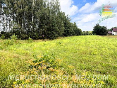 Działka rolno-leśna w Petrykozach  16 975 m2 - Petrykozy  -
Mazowieckie Zdjęcie nr 2