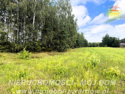 Działka rolno-leśna w Petrykozach  16 975 m2 - Petrykozy  -
Mazowieckie Zdjęcie nr 3