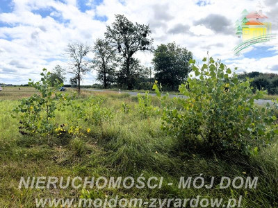 Działka rolno-leśna w Petrykozach  16 975 m2 - Petrykozy  -
Mazowieckie Zdjęcie nr 4