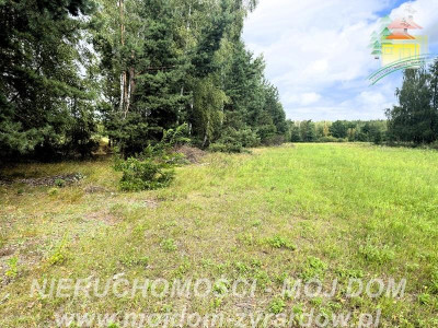 Działka rolno-leśna w Petrykozach  16 975 m2 - Petrykozy  -
Mazowieckie Zdjęcie nr 7