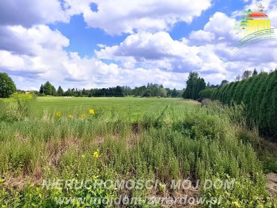 Działka budowlana - Bartniki  -
Mazowieckie Zdjęcie nr 7