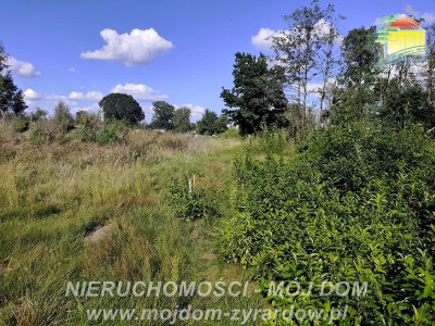 Działka budowlana w spokojnej okolicy - Żyrardów  -
Mazowieckie Zdjęcie nr 2