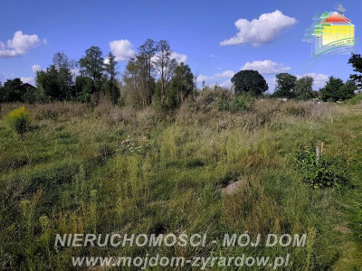 Działka budowlana w spokojnej okolicy - Żyrardów  -
Mazowieckie Zdjęcie nr 6
