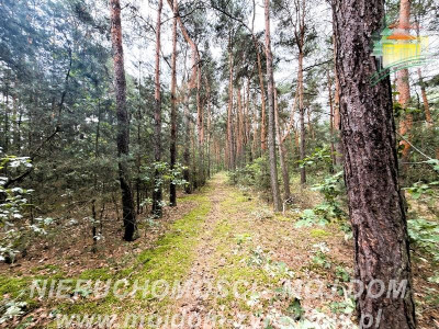 Działka z potencjałem inwestycyjnym - Mrozy  -
Mazowieckie Zdjęcie nr 3
